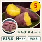 ふるさと納税 多古町 多古町産さつまいも「シルクスイート」5kg