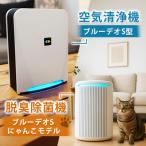 ブルーデオS型