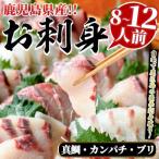 お刺身 BOXセット 8~12人前 akn028-27