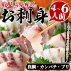 お刺身 BOXセット 4~6人前 akn028-16