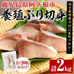 養殖ぶり切身 約2kg