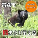 クマによる被害を防ぐ~クマ対策へのご支援を~