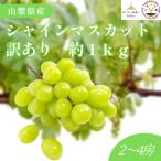 ショッピングふるさと納税 シャインマスカット ふるさと納税 笛吹市 【2026年先行受付】山梨県産 匠のシャインマスカット 訳あり 約1kg(2〜4房)