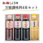 創業190年以上続く醤油店の万能調味料4本セット