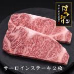 博多和牛サーロインステーキ 2枚