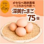 かわなべ鶏卵農場のこだわりのたまご 75個