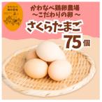かわなべ鶏卵農場のこだわりのたまご Lサイズ