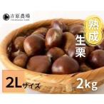 熟成 生栗 2kg