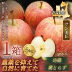 サン美丘 5kg×1箱