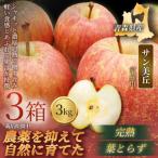 サン美丘 3kg×3箱