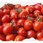 ミニトマト1.5kg