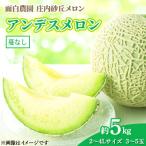 ふるさと納税 鶴岡市 【令和8年産先行予約】庄内砂丘メロン　2L〜4Lサイズ　約5kg　(3〜5玉)つるなしアンデスメロン