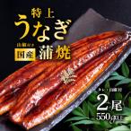 うなぎ蒲焼 特上うなぎ2尾 合計550g以上