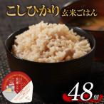 米匠庵 こだわりの玄米ご飯 120g×48個