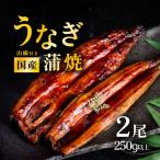 うなぎ蒲焼 上うなぎ2尾 280g以上
