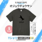 Tシャツ ヘイジーブラック BRTV004-1