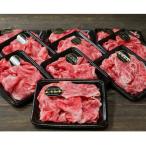 牛肉 炒め物 7日発送 特選切り落とし 長崎和牛約2kg 200g×1…