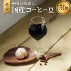 やまいち園の希少 コーヒー豆 50g
