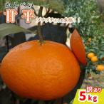 ふるさと納税 松山市 中島みかん農園  甘平 訳あり5kg