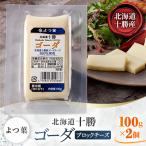 よつ葉 十勝 ゴーダ ブロックチーズ 100g×2個