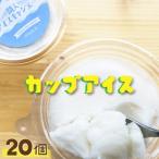 口どけなめらか 丹後 間人 なつかしのカップアイス