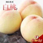 清水白桃 8玉