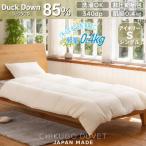 ダックダウン85% 0.4kg