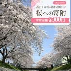 高田千本桜や 内の都市公園などの桜への寄附