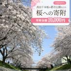 高田千本桜や 内の都市公園などの桜への寄附
