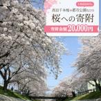 高田千本桜や 内の都市公園などの桜への寄附