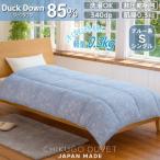 ダックダウン85% 0.3kg