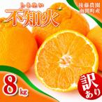 ご 後藤農園 不知火 8kg