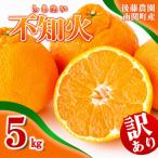 ご 後藤農園 不知火 5kg