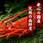 釜茹で伊勢海老ハーフカット 1尾