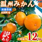 ご 後藤農園 温州みかん 12kg