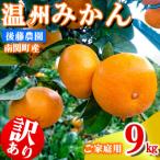 ご 後藤農園 温州みかん 9kg