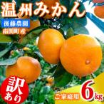 ご 後藤農園 温州みかん 6kg