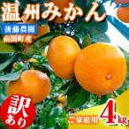 ベビーみかん 4kg