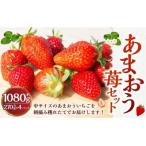 ショッピングふるさと納税 いちご ふるさと納税 うきは市 【2026年4月以降発送】よかもんいちご あまおう苺セット4パック　U089-2SB-ASE4-04