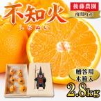 後藤農園 くまモン木箱入り 不知火 2.8kg