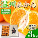 後藤農園 くまモン木箱入 温州みかん 3kg