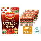 デルモンテ リコピンリッチ トマトケチャップ 20本