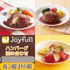 ショッピングふるさと納税 ハンバーグ ふるさと納税 菊池市 ジョイフルハンバーグ人気の3種詰め合わせ 6個