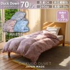 羽毛布団工場直送 洗える羽毛ふとん ダックダウン70% 1.0kg