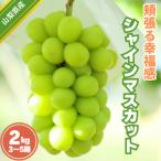ショッピングふるさと納税 シャインマスカット ふるさと納税 南アルプス市 頬張る幸福感 〜緑の宝石・シャインマスカット〜 2kg以上(3〜5房)