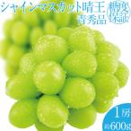 シャインマスカット 晴王 1房 約600g
