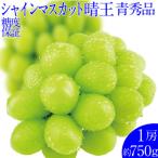 ぶどう シャイン マスカット 晴王 1房 約750g