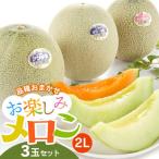 ふるさと納税 鶴岡市 【令和8年分先行予約】お楽しみメロン(2L) 3玉セット K-836