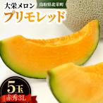 739. 大栄メロン プリモレッド 赤肉 赤秀3L×5玉
