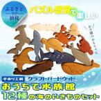 木製パズル おうちで水族館 12種の海のいきものセット